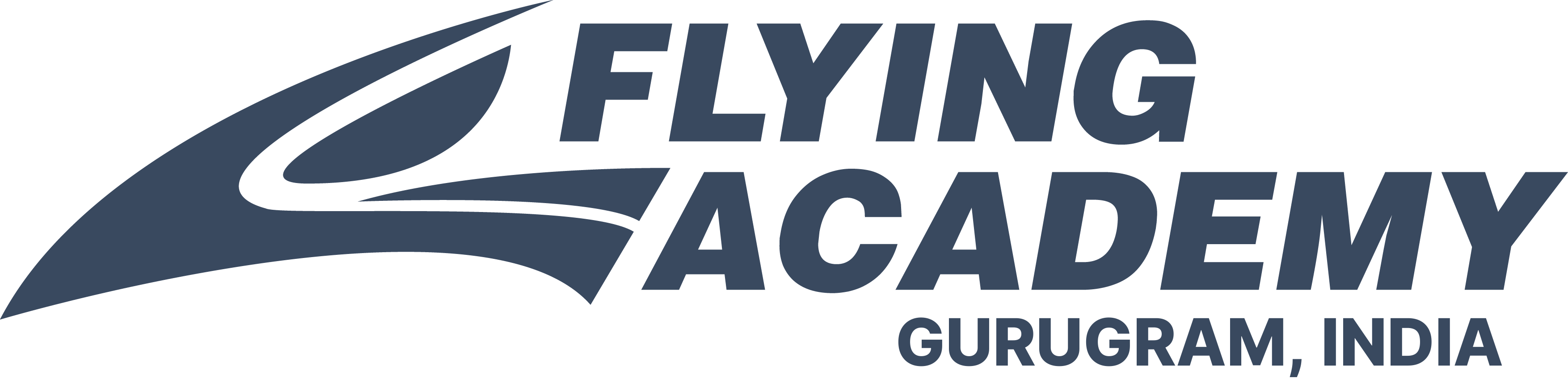 Flying Academy India Logo