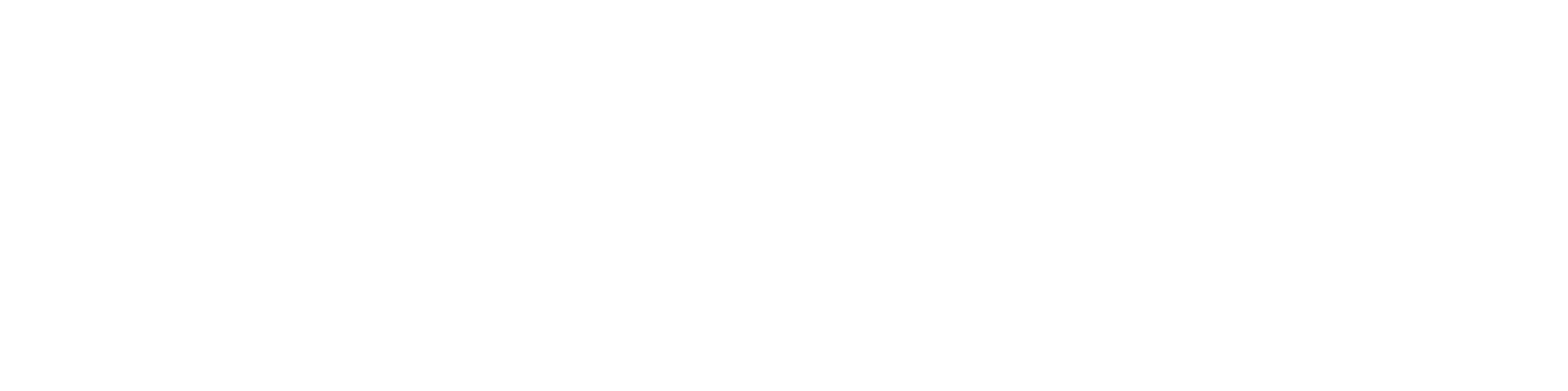 Flying Academy Logo